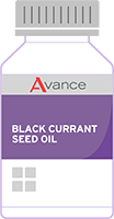 Black Currant Seed Oil graphic illustration